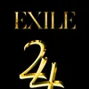 projectexile2025