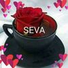 seva_599