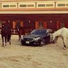 f__alotaibi