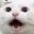 charlie_domplers_ftm_bf