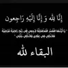 hala.363
