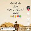 babardil1