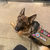 pmak02gsd