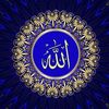 Quran 🤲🏻💕 التلاوات القرآنية