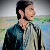 hasnainking4733
