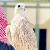 abdulziz999