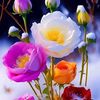 user.mr.ramzan