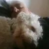 florinpavel93