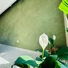 sonhieuung_r