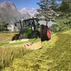 hiasi_1050