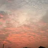 duien_00