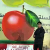 Lhoussain el Amraoui