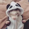mesho_medo