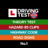 Driving Test Success