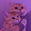Саша Воробьева