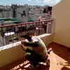 mohamedhadad53