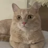 tarusbui