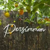 Persimmon