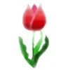 tulip.7