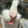 mjwasloissad