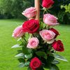 sheerazkhan160