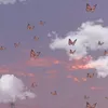 linhlilac1002