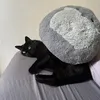 cruelpatra