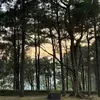 tasnyym_25