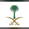 toooth3556