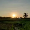 vuthanhphat1
