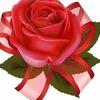 userndopmnoqy5