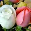 المتواضعة دائما 🌷