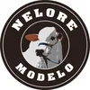 NeloreModelo