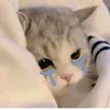 xyanggun_lii