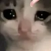 mamamopink11399