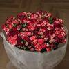 entesar_4444