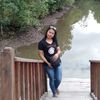 panda_gode