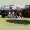 funatwo333