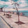 romanse35