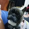 vickypadilla64