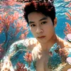 hau.nguyen19940