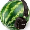 icelite0