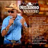 nelsinhoovaqueiro