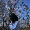 ymk28