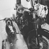 tonton.biker