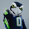 blitztheseahawk
