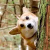 corgi688