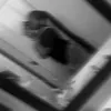 thicklilc2