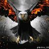 user8800444246833
