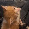 lilynherboo
